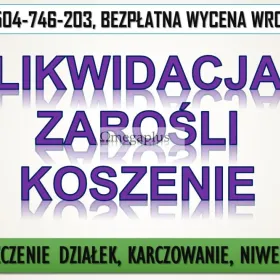 Przygotowanie działki pod budowę, tel. 504-746-203. Wrocław, Karczowanie terenu.