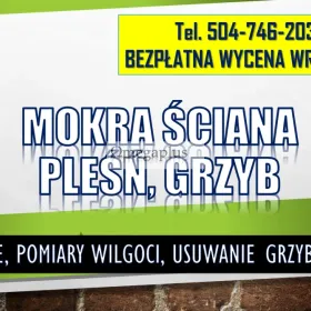Osuszenie mokrej ściany, tel. 504-746-203, wilgoć na ścianie, mokra ściana, lokalizacja wycieku, Wrocław