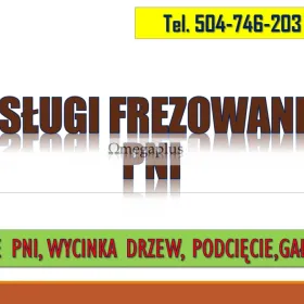 Frezowanie pni, cena, tel. 504-746-203, Wrocław, usunięcie pnia.  Usuwanie pni drzew poniżej poziomu gruntu.