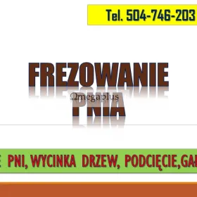 Frezowanie pni, cena, tel. 504-746-203, Wrocław, usunięcie pnia.  Usuwanie pni drzew poniżej poziomu gruntu.