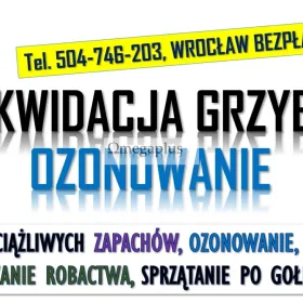 Ozonowanie Wrocław, cennik, tel. 504-746-203. Usuwanie wirusów grzybów, pleśni  Odświeżania i likwidacja niepożądanych zapachów, wirusów, bakterii.