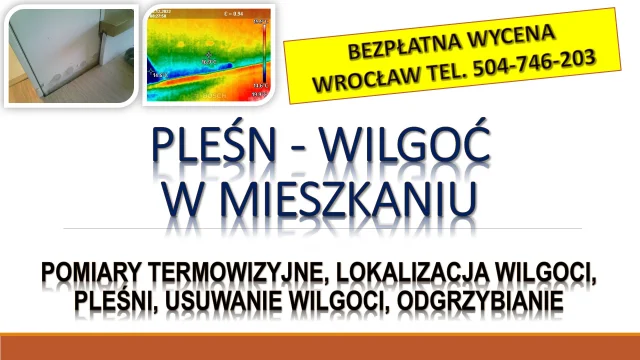 Odgrzybianie mieszkań, tel. 504-746-203. Wrocław. Usuwanie wilgoci i pleśni.