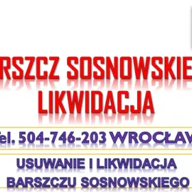Likwidacja barszczu Sosnowskiego, cennik usługi tel. 504-746-203. Usuniecie barszczu kaukaskiego i zwalczanie innych roślin inwazyjnych.